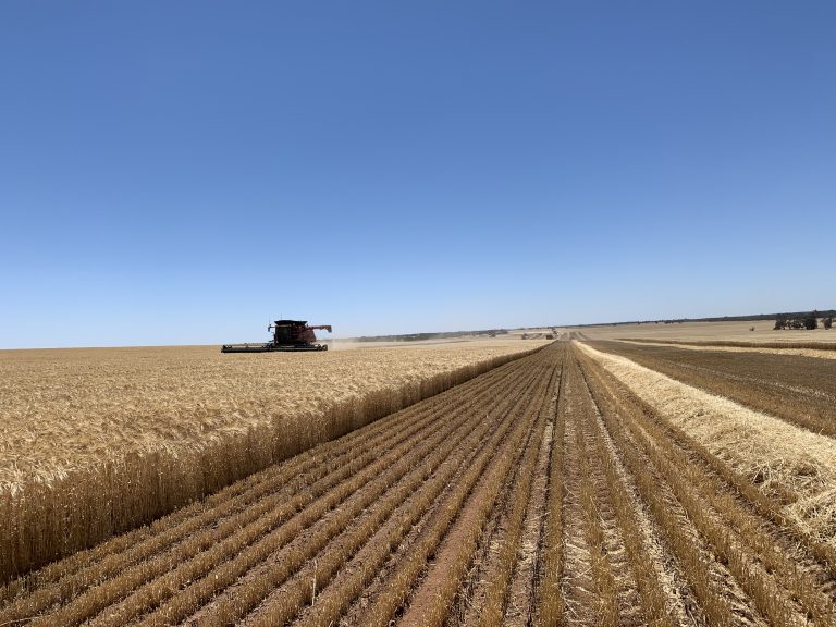 5 Ways To Maximise Your Crop Yields And Quality - Watson Agriculture